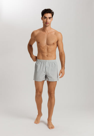 Fancy Woven Boxer | Light Stripe 74013-3028